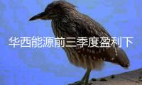 华西能源前三季度盈利下滑52% 节能环保低于预期
