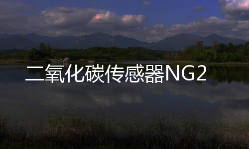 二氧化碳传感器NG2